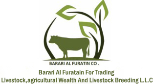 Barari Al Furatain For Trading Livestock,agricultural Wealth And Livestock Breeding L.l.c